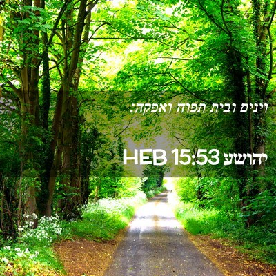 Picture 02 - יהושע 15:53 HEB - וינים ובית תפוח - Bible Verse Picture