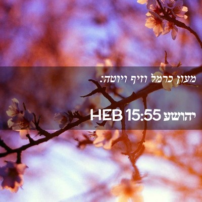 Picture 02 - יהושע 15:55 HEB - מעון כרמל וזיף - Bible Verse Picture