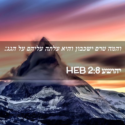 Picture 02 - יהושע 2:8 HEB - והמה טרם ישכבון והיא עלתה - Bible Verse Picture