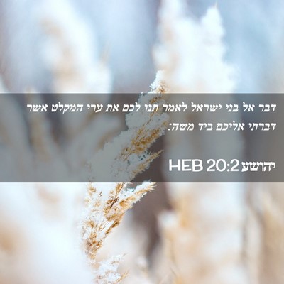 Picture 02 - יהושע 20:2 HEB - דבר אל בני ישראל לאמר תנו - Bible Verse Picture