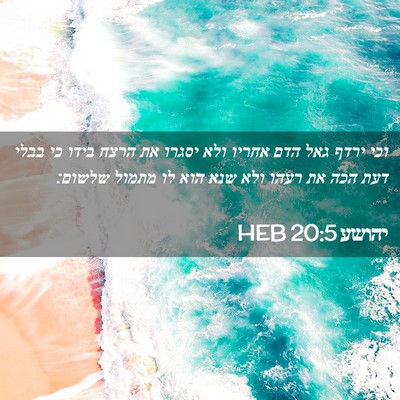 Picture 02 - יהושע 20:5 HEB - וכי ירדף גאל הדם אחריו ולא - Bible Verse Picture
