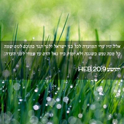 Picture 02 - יהושע 20:9 HEB - אלה היו ערי המועדה לכל בני - Bible Verse Picture