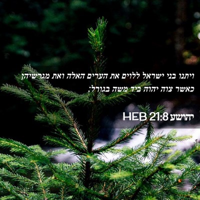 Picture 02 - יהושע 21:8 HEB - ויתנו בני ישראל ללוים את - Bible Verse Picture