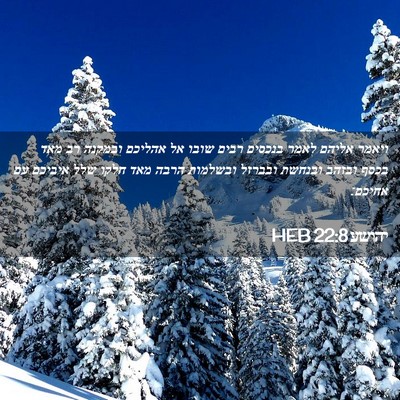 Picture 02 - יהושע 22:8 HEB - ויאמר אליהם לאמר בנכסים - Bible Verse Picture