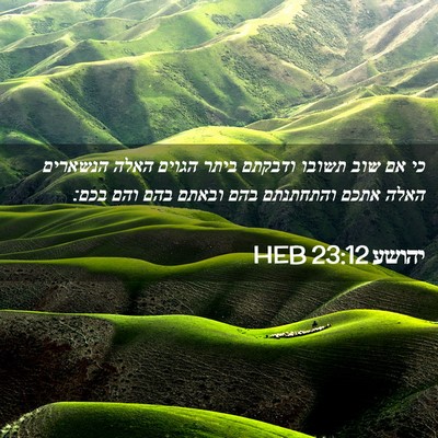 Picture 02 - יהושע 23:12 HEB - כי אם שוב תשובו ודבקתם ביתר - Bible Verse Picture