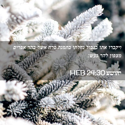 Picture 02 - יהושע 24:30 HEB - ויקברו אתו בגבול נחלתו - Bible Verse Picture