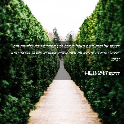 Picture 02 - יהושע 24:7 HEB - ויצעקו אל יהוה וישם מאפל - Bible Verse Picture