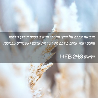 Picture 02 - יהושע 24:8 HEB - ואביאה אתכם אל ארץ האמרי - Bible Verse Picture