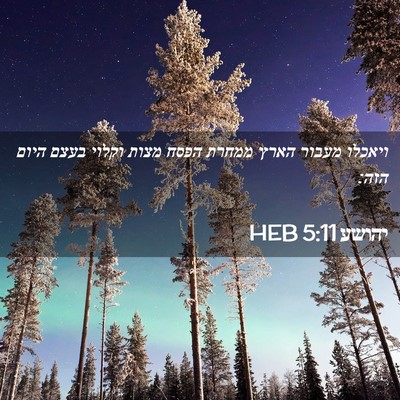 Picture 02 - יהושע 5:11 HEB - ויאכלו מעבור הארץ ממחרת - Bible Verse Picture