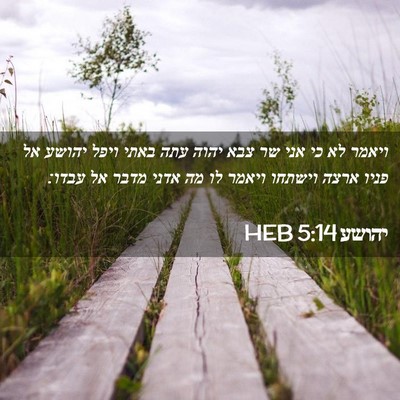 Picture 02 - יהושע 5:14 HEB - ויאמר לא כי אני שר צבא יהוה - Bible Verse Picture