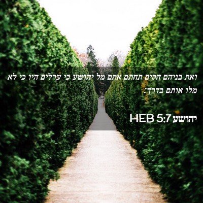 Picture 02 - יהושע 5:7 HEB - ואת בניהם הקים תחתם אתם מל - Bible Verse Picture