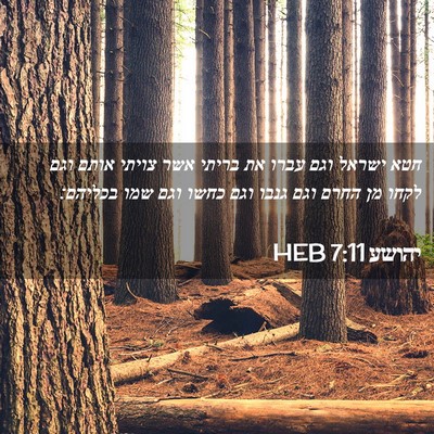Picture 02 - יהושע 7:11 HEB - חטא ישראל וגם עברו את בריתי - Bible Verse Picture