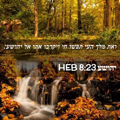 Picture 02 - יהושע 8:23 HEB - ואת מלך העי תפשו חי ויקרבו - Bible Verse Picture