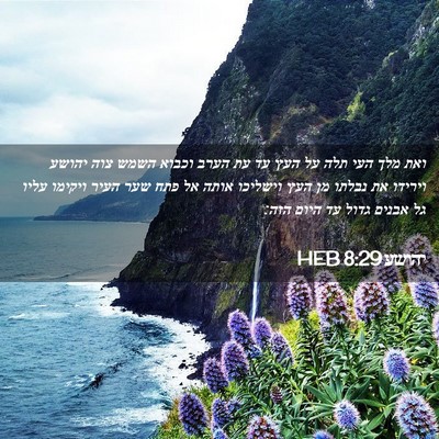 Picture 02 - יהושע 8:29 HEB - ואת מלך העי תלה על העץ עד עת - Bible Verse Picture