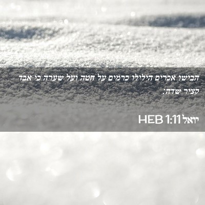 Picture 02 - יואל 1:11 HEB - הבישו אכרים הילילו כרמים - Bible Verse Picture