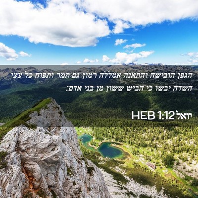 Picture 02 - יואל 1:12 HEB - הגפן הובישה והתאנה אמללה - Bible Verse Picture