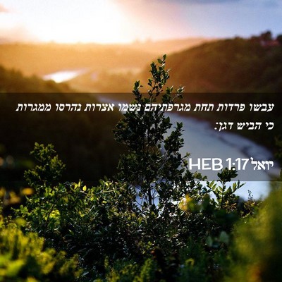 Picture 02 - יואל 1:17 HEB - עבשו פרדות תחת מגרפתיהם - Bible Verse Picture