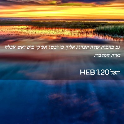 Picture 02 - יואל 1:20 HEB - גם בהמות שדה תערוג אליך כי - Bible Verse Picture