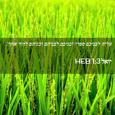 Picture 02 - יואל 1:3 HEB - עליה לבניכם ספרו ובניכם - Bible Verse Picture