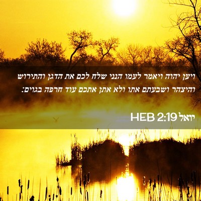 Picture 02 - יואל 2:19 HEB - ויען יהוה ויאמר לעמו הנני - Bible Verse Picture