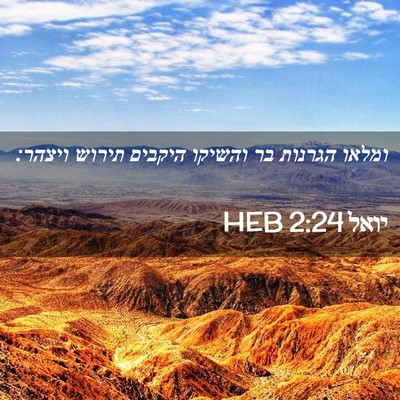 Picture 02 - יואל 2:24 HEB - ומלאו הגרנות בר והשיקו - Bible Verse Picture