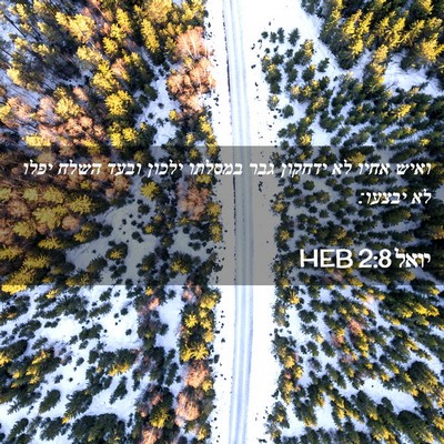 Picture 02 - יואל 2:8 HEB - ואיש אחיו לא ידחקון גבר - Bible Verse Picture