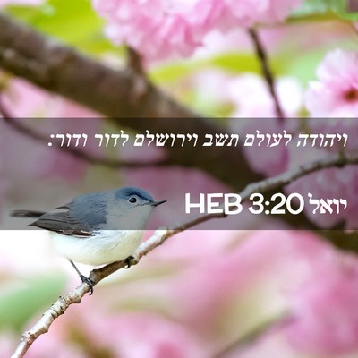 Picture 02 - יואל 3:20 HEB - ויהודה לעולם תשב וירושלם - Bible Verse Picture