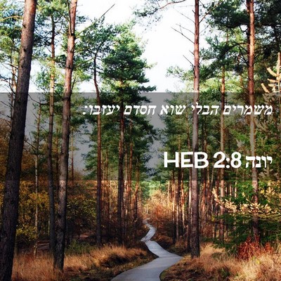 Picture 02 - יונה 2:8 HEB - משמרים הבלי שוא חסדם - Bible Verse Picture