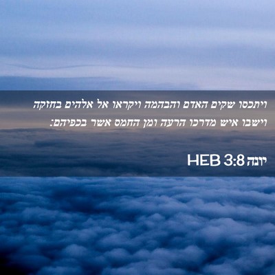 Picture 02 - יונה 3:8 HEB - ויתכסו שקים האדם והבהמה - Bible Verse Picture