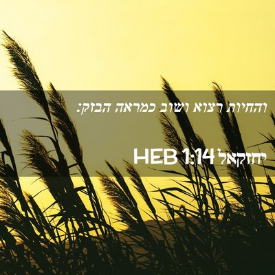 Picture 02 - יחזקאל 1:14 HEB - והחיות רצוא ושוב כמראה - Bible Verse Picture