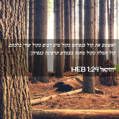 Picture 02 - יחזקאל 1:24 HEB - ואשמע את קול כנפיהם כקול - Bible Verse Picture