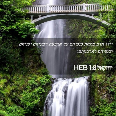 Picture 02 - יחזקאל 1:8 HEB - וידו אדם מתחת כנפיהם על - Bible Verse Picture
