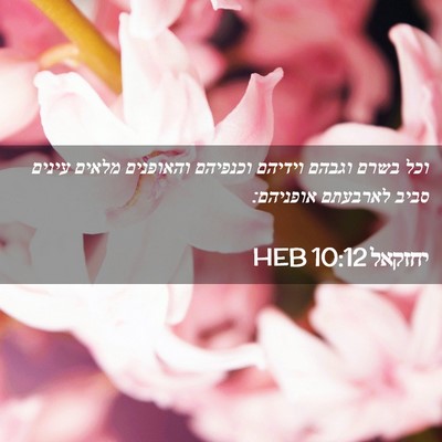 Picture 02 - יחזקאל 10:12 HEB - וכל בשרם וגבהם וידיהם - Bible Verse Picture
