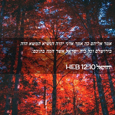 Picture 02 - יחזקאל 12:10 HEB - אמר אליהם כה אמר אדני יהוה - Bible Verse Picture