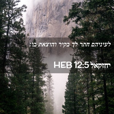 Picture 02 - יחזקאל 12:5 HEB - לעיניהם חתר לך בקיר והוצאת - Bible Verse Picture