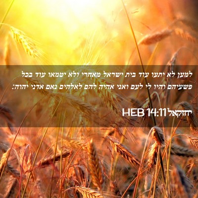 Picture 02 - יחזקאל 14:11 HEB - למען לא יתעו עוד בית ישראל - Bible Verse Picture