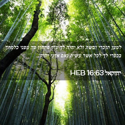 Picture 02 - יחזקאל 16:63 HEB - למען תזכרי ובשת ולא יהיה לך - Bible Verse Picture
