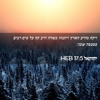 Picture 02 - יחזקאל 17:5 HEB - ויקח מזרע הארץ ויתנהו בשדה - Bible Verse Picture