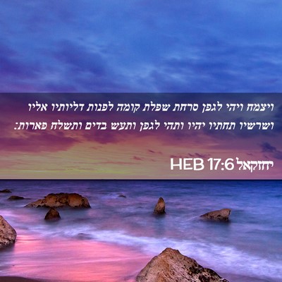 Picture 02 - יחזקאל 17:6 HEB - ויצמח ויהי לגפן סרחת שפלת - Bible Verse Picture
