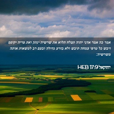 Picture 02 - יחזקאל 17:9 HEB - אמר כה אמר אדני יהוה תצלח - Bible Verse Picture
