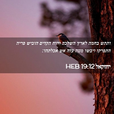 Picture 02 - יחזקאל 19:12 HEB - ותתש בחמה לארץ השלכה ורוח - Bible Verse Picture