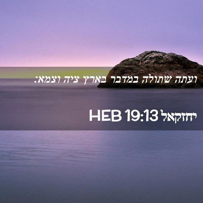 Picture 02 - יחזקאל 19:13 HEB - ועתה שתולה במדבר בארץ ציה - Bible Verse Picture