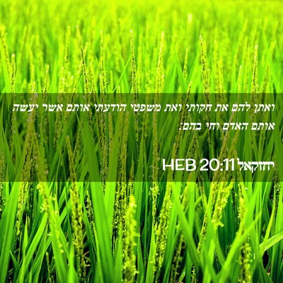 Picture 02 - יחזקאל 20:11 HEB - ואתן להם את חקותי ואת משפטי - Bible Verse Picture