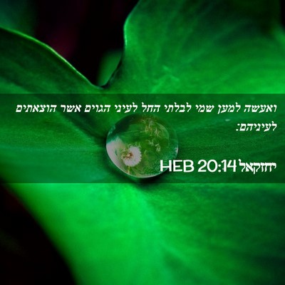 Picture 02 - יחזקאל 20:14 HEB - ואעשה למען שמי לבלתי החל - Bible Verse Picture