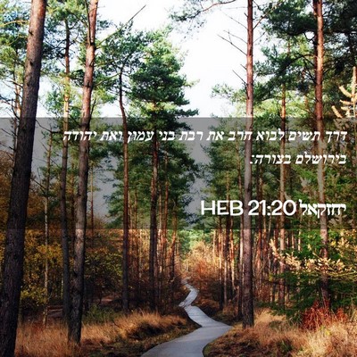 Picture 02 - יחזקאל 21:20 HEB - דרך תשים לבוא חרב את רבת - Bible Verse Picture