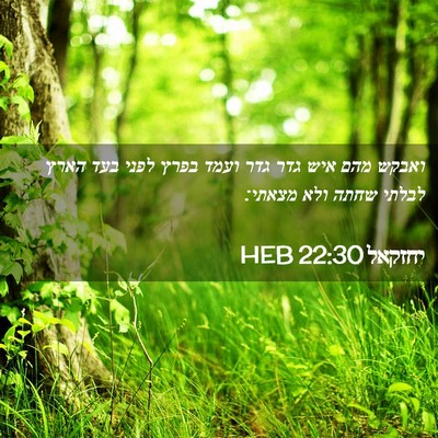 Picture 02 - יחזקאל 22:30 HEB - ואבקש מהם איש גדר גדר ועמד - Bible Verse Picture
