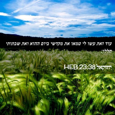 Picture 02 - יחזקאל 23:38 HEB - עוד זאת עשו לי טמאו את - Bible Verse Picture