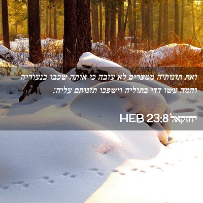 Picture 02 - יחזקאל 23:8 HEB - ואת תזנותיה ממצרים לא עזבה - Bible Verse Picture