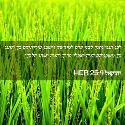 Picture 02 - יחזקאל 25:4 HEB - לכן הנני נתנך לבני קדם - Bible Verse Picture