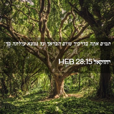 Picture 02 - יחזקאל 28:15 HEB - תמים אתה בדרכיך מיום הבראך - Bible Verse Picture